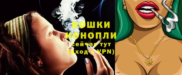дживик Гусиноозёрск