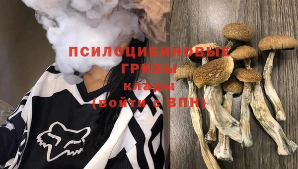 дживик Гусиноозёрск