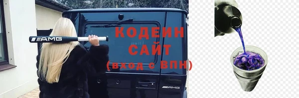 дживик Гусиноозёрск