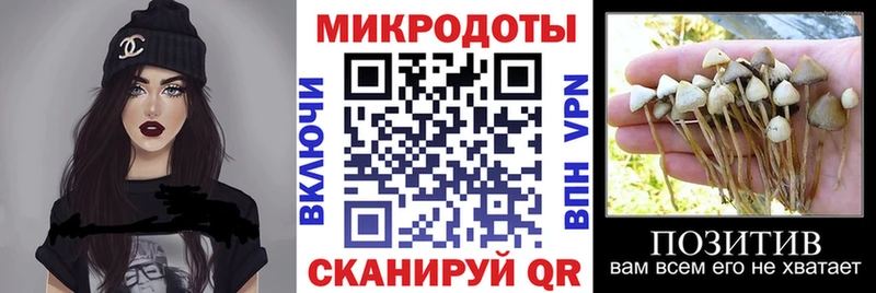 Галлюциногенные грибы Cubensis OMG ссылка Петровск-Забайкальский